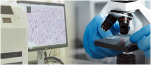 Surgical pathology